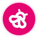 stBGT logo